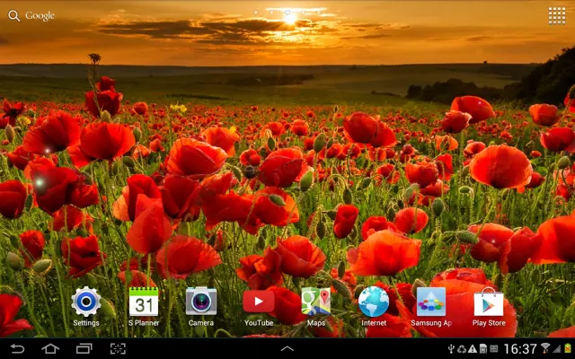 Beautiful Landscape Live Wallpaper android App screenshot 3